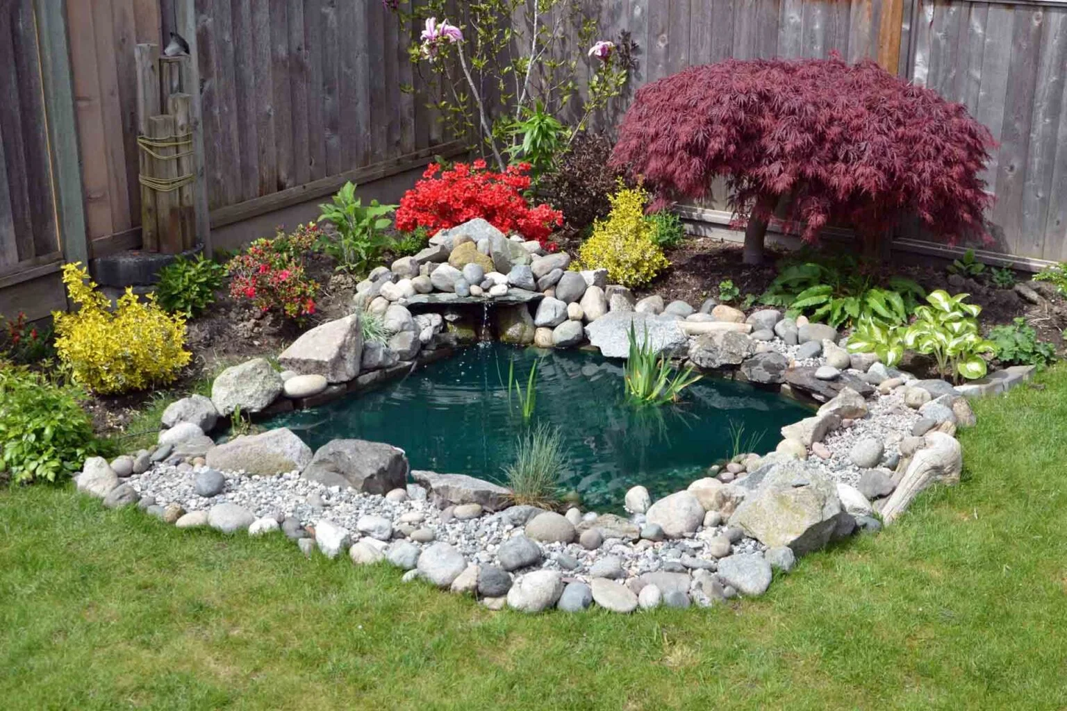 Pond repairs in Vancouver for residential garden water features.
